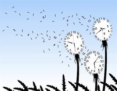 Abstract editable vector illustration of dandelion clockfaces blowing in the wind Stock Photo - Budget Royalty-Free & Subscription, Code: 400-04987533