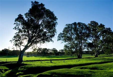 Gorgeous Rural Landscape in the Adelaide Hills Stock Photo - Budget Royalty-Free & Subscription, Code: 400-04988420