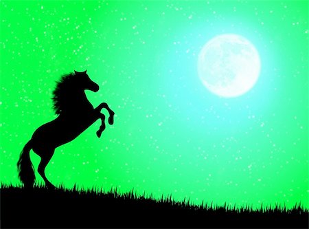 simsearch:400-04001237,k - Black wild horse against a moonlight night Stock Photo - Budget Royalty-Free & Subscription, Code: 400-04989328