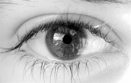 simsearch:400-04624558,k - Close-up of a beautiful female eye Foto de stock - Super Valor sin royalties y Suscripción, Código: 400-04980263