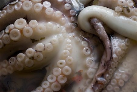 details of the tentacles of a squid Foto de stock - Super Valor sin royalties y Suscripción, Código: 400-04981974
