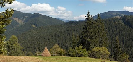 simsearch:400-05737744,k - Summer mountainous green meadow with stack of hay (Slavske village outskirts, Carpathian Mts, Ukraine). Five shots composite picture. Stock Photo - Budget Royalty-Free & Subscription, Code: 400-04982322