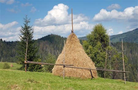 simsearch:400-05730615,k - Summer mountain green meadow with stacks of hay (Carpathian Mt-s, Ukraine). Fotografie stock - Microstock e Abbonamento, Codice: 400-04982323