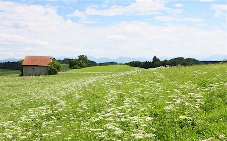 A photography of a beautiful bavarian landscape Stock Photo - Budget Royalty-Free & Subscription, Code: 400-04982812