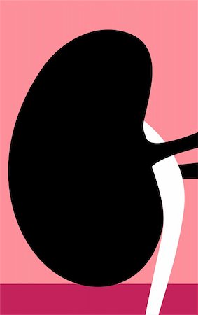 Illustration of  silhouette of a kidney Fotografie stock - Microstock e Abbonamento, Codice: 400-04983009