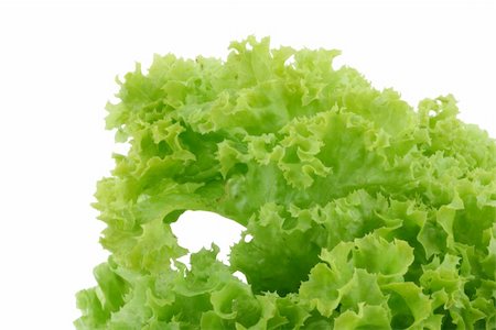 simsearch:400-05369257,k - crispy lettuce on white Photographie de stock - Aubaine LD & Abonnement, Code: 400-04983168