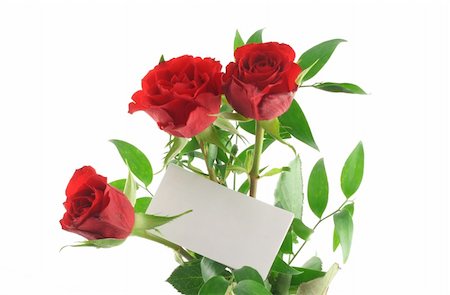 simsearch:400-05033064,k - three red roses with blank love note Foto de stock - Royalty-Free Super Valor e Assinatura, Número: 400-04983631
