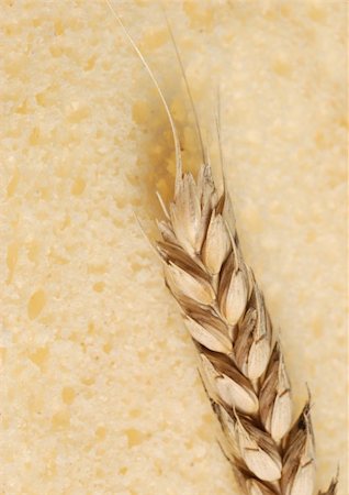 dry fruits crops - Wheat and cut bread. A ripe agriculture isolated on a white background Stock Photo - Budget Royalty-Free & Subscription, Code: 400-04994541