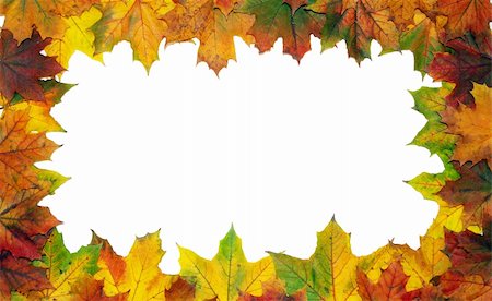 simsearch:400-04360457,k - Frame with colored autumn maple leaves - white background Photographie de stock - Aubaine LD & Abonnement, Code: 400-04994883