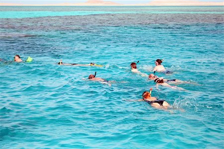 Snorkeling in the Red sea Foto de stock - Super Valor sin royalties y Suscripción, Código: 400-04995233