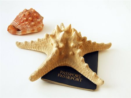 simsearch:400-05215339,k - Isolated passport, seastar and seashell Stock Photo - Budget Royalty-Free & Subscription, Code: 400-04995841