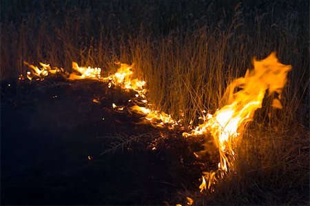 simsearch:640-01360808,k - Farmers doing a seasonal burning of the prairie Foto de stock - Royalty-Free Super Valor e Assinatura, Número: 400-04996053
