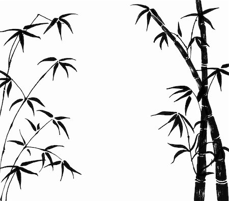 Silhouette of branches of a bamboo on a white background Photographie de stock - Aubaine LD & Abonnement, Code: 400-04996614