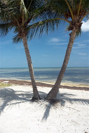 floridian - Beaches of Key West, Florida Stock Photo - Budget Royalty-Free & Subscription, Code: 400-04997697