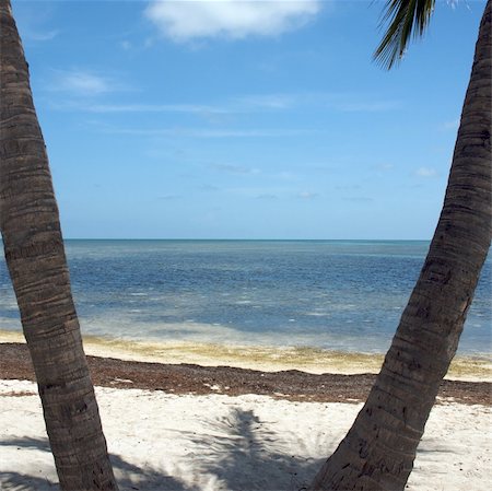 floridian - Beaches of Key West, Florida Stock Photo - Budget Royalty-Free & Subscription, Code: 400-04997700