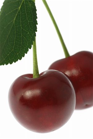 simsearch:400-04753423,k - Cherry. A fruit of a fruit tree it is isolated on a white background Photographie de stock - Aubaine LD & Abonnement, Code: 400-04997804