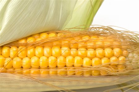 simsearch:846-03164472,k - detail of a fresh corn cob on white background Stock Photo - Budget Royalty-Free & Subscription, Code: 400-04997904