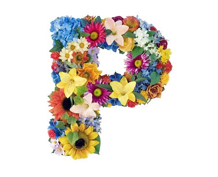 simsearch:400-04539350,k - Letter P made of flowers isolated on white background Stock Photo - Budget Royalty-Free & Subscription, Code: 400-04998846