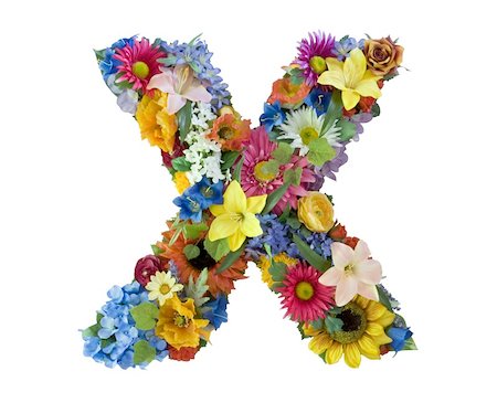 Letter X made of flowers isolated on white background Stock Photo - Budget Royalty-Free & Subscription, Code: 400-04998849