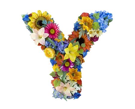 Letter Y made of flowers isolated on white background Stockbilder - Microstock & Abonnement, Bildnummer: 400-04998850