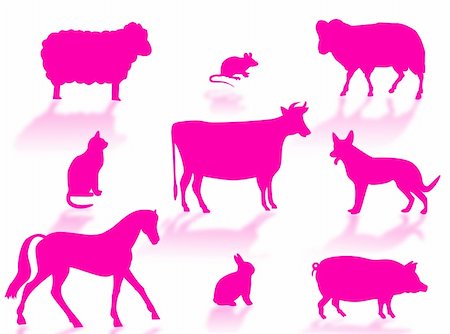 simsearch:400-06102921,k - Farm animals silhouettes with shadows on a white background Stock Photo - Budget Royalty-Free & Subscription, Code: 400-04990229