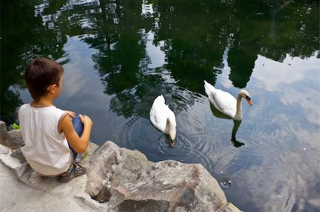 selhin (artist) - The boy looks at the two swans that swim in a pond. The peninsula of Crimea. Alupka. Vorontsovskim Garden next to the palace. Swan Lake. Photographie de stock - Aubaine LD & Abonnement, Code: 400-04990243