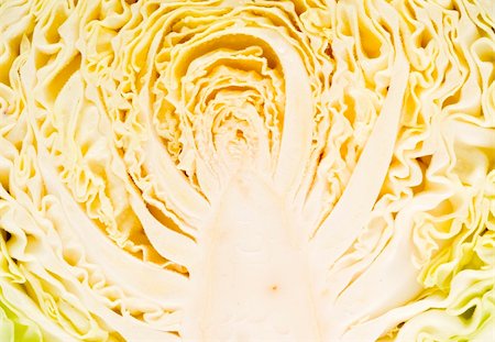 texture of a sliced head of cabbage - detail Foto de stock - Royalty-Free Super Valor e Assinatura, Número: 400-04990462