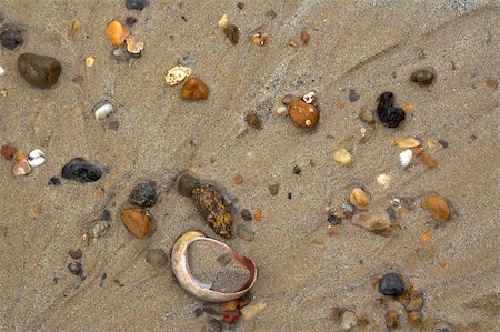 simsearch:400-07758089,k - wet colorful stones and shell on sand beach Photographie de stock - Aubaine LD & Abonnement, Code: 400-04990497