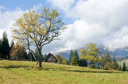 Autumn mountainous green glade with small country estate. Stock Photo - Budget Royalty-Free & Subscription, Code: 400-04991206