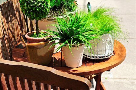 simsearch:400-04064749,k - Potted green plants on wooden patio table Stock Photo - Budget Royalty-Free & Subscription, Code: 400-04991814