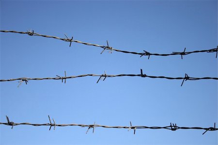 penitentiary - Barbed wire and blue sky Photographie de stock - Aubaine LD & Abonnement, Code: 400-04992147