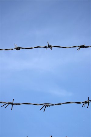 simsearch:400-04271581,k - Barbed wire and blue sky Photographie de stock - Aubaine LD & Abonnement, Code: 400-04992143