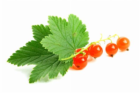 simsearch:400-04423672,k - red currant and green leaf isolated on white background Stockbilder - Microstock & Abonnement, Bildnummer: 400-04992469