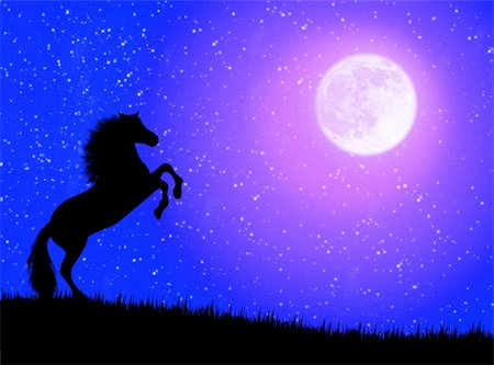 simsearch:400-04001237,k - Black wild horse against a moonlight night Stock Photo - Budget Royalty-Free & Subscription, Code: 400-04992549