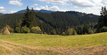 simsearch:400-06063989,k - Summer mountain green meadow with stack of hay (Slavske village outskirts, Carpathian Mts, Ukraine). Four shots composite picture. Foto de stock - Royalty-Free Super Valor e Assinatura, Número: 400-04992588