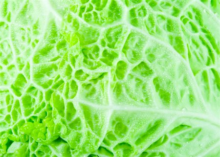 texture of a piece of green cabbage with droplets of water Foto de stock - Royalty-Free Super Valor e Assinatura, Número: 400-04992706