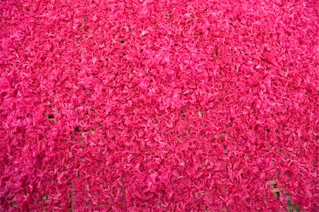 simsearch:400-04995783,k - Dadalam; preparing Balinese rice offerings for the Gods Stock Photo - Budget Royalty-Free & Subscription, Code: 400-04993343