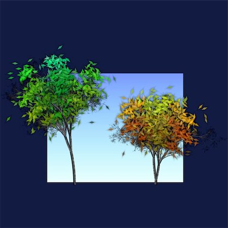 four seasons graphics - scene of two trees depicting the changing seasons Stock Photo - Budget Royalty-Free & Subscription, Code: 400-04993444