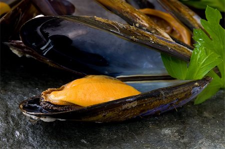 fresh mussels boiled with parsley on grey stone platter Fotografie stock - Microstock e Abbonamento, Codice: 400-05005251