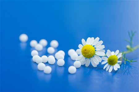 Chamomile flower and homeopathic medication on blue surface Stock Photo - Budget Royalty-Free & Subscription, Code: 400-05005886