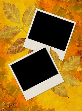 simsearch:400-07548535,k - Autumn background with photo frames Fotografie stock - Microstock e Abbonamento, Codice: 400-05006040