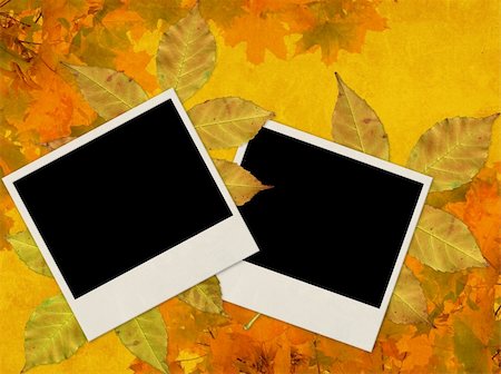 simsearch:400-07548535,k - Autumn background with photo frames Fotografie stock - Microstock e Abbonamento, Codice: 400-05006041