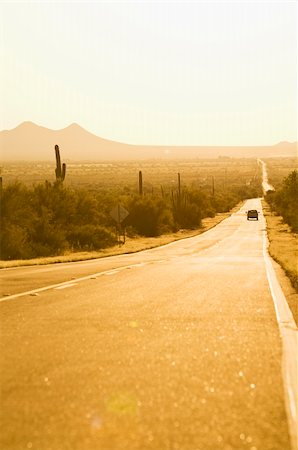 saguaro cactus - Western road at sunset with one car Photographie de stock - Aubaine LD & Abonnement, Code: 400-05006153