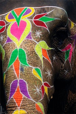 royal family - India Jaipur painted elephant with colorful geometrical and flowers design Stock Photo - Budget Royalty-Free & Subscription, Code: 400-05006918