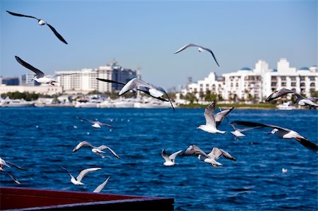 dubai creek - View of Dubai Creek, UAE Photographie de stock - Aubaine LD & Abonnement, Code: 400-05009765