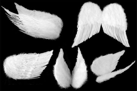 Many Angles of White Guardian Angel Wings Isolated on Black Easily Extracted Photographie de stock - Aubaine LD & Abonnement, Code: 400-05000477