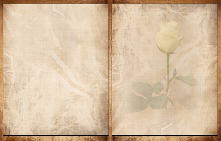 simsearch:400-05010739,k - Old paper book with some stains on it Stock Photo - Budget Royalty-Free & Subscription, Code: 400-05000506