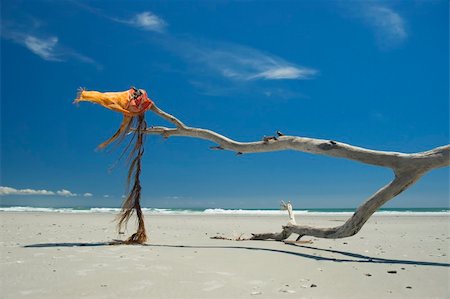 Empty ocean beach. Dry tree branch with pareo like flag on wind Stock Photo - Budget Royalty-Free & Subscription, Code: 400-05001012