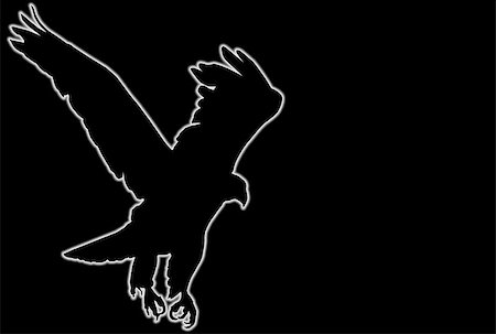 drawing eagle clipart - Glowing silhouette of a flying eagle over black background Stock Photo - Budget Royalty-Free & Subscription, Code: 400-05001644