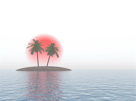 pic palm tree beach big island - Island with palm trees on a background of the red sun and separately from the sky (the white sky) Photographie de stock - Aubaine LD & Abonnement, Code: 400-05002007